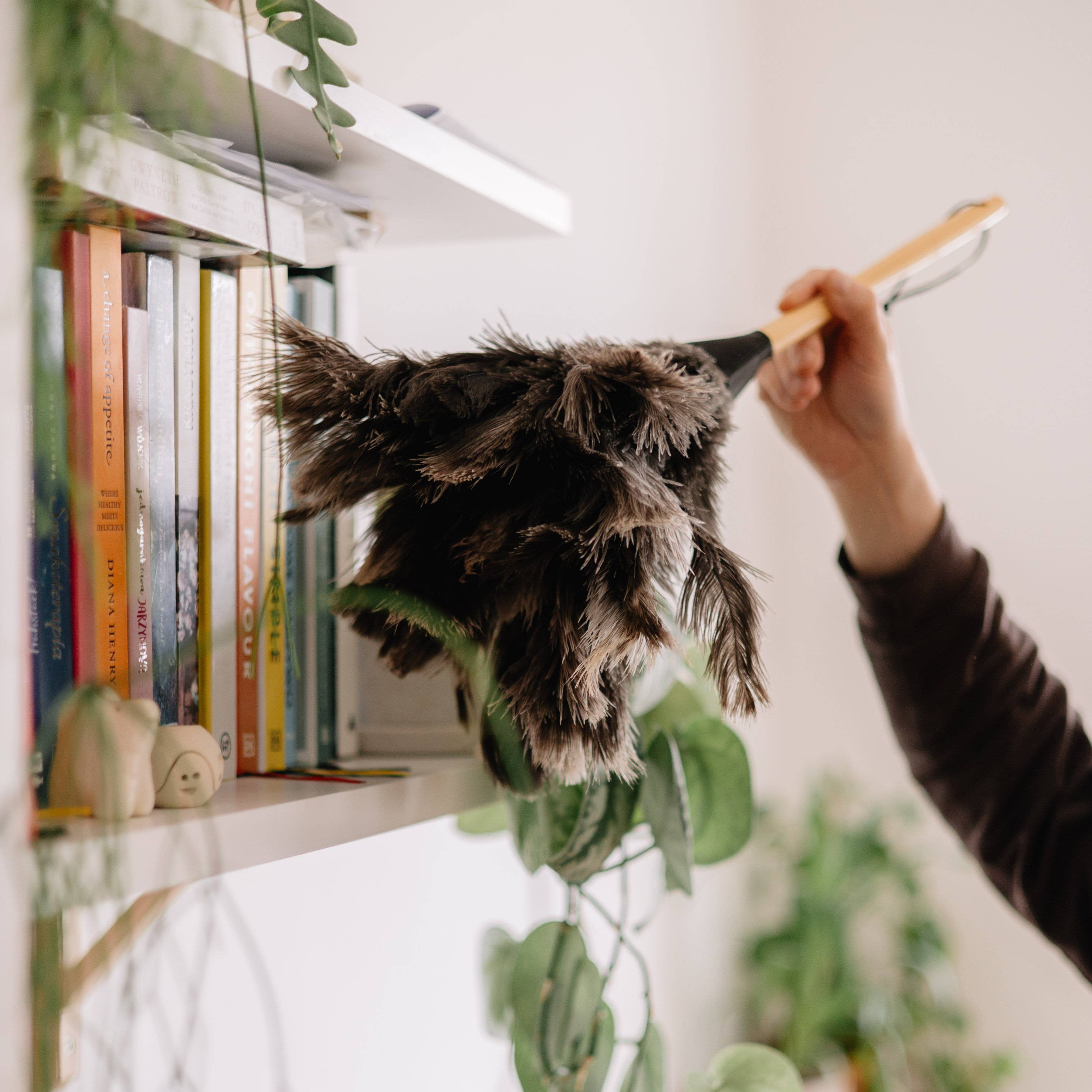Large Natural Ostrich Feather Duster