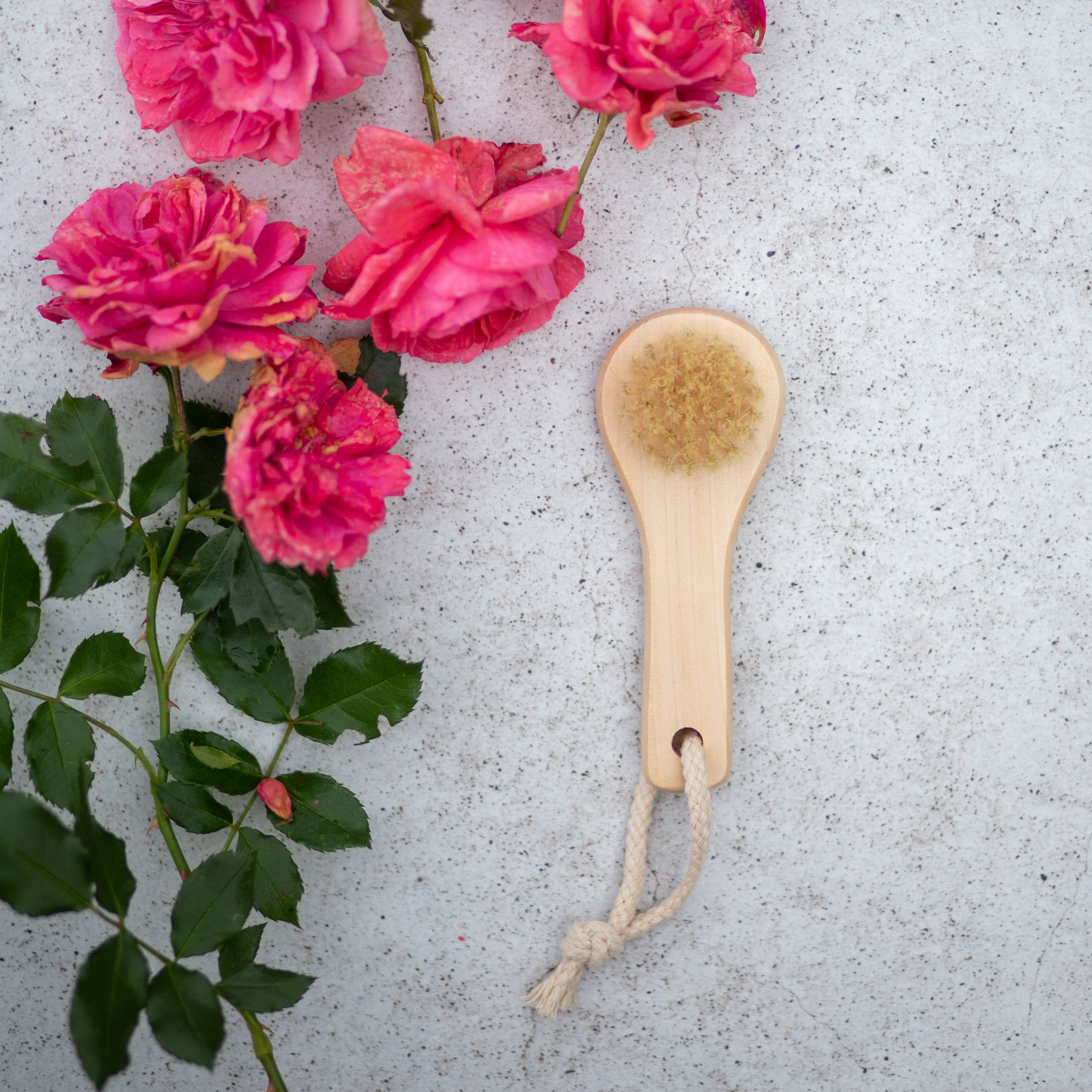 Wooden facial brush for spa eco nature