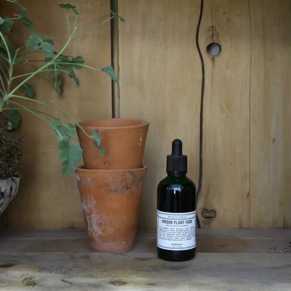 Bottle of indoor plant food with potted plants on a wooden surface