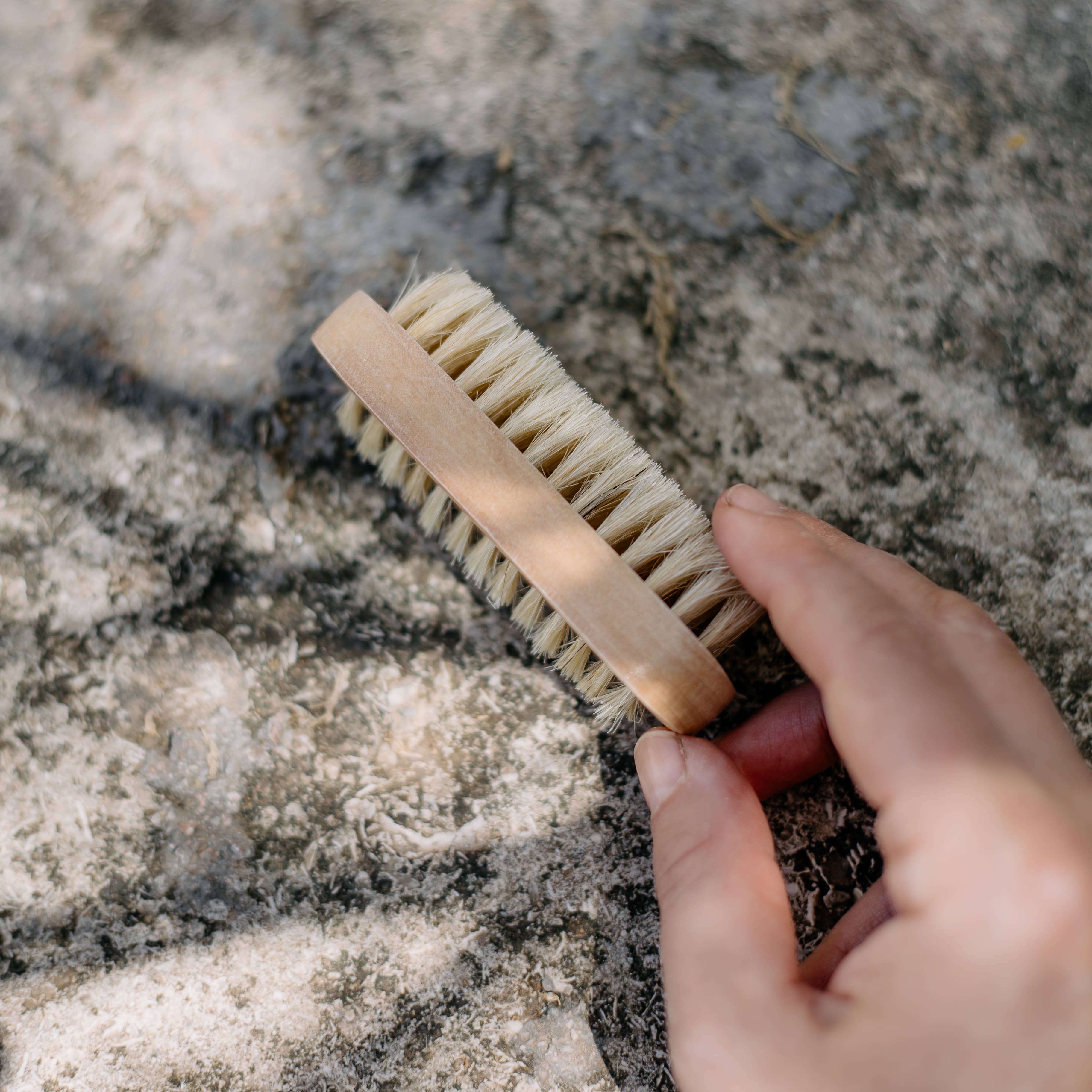 Light nail brush with natural bristles spa manicure