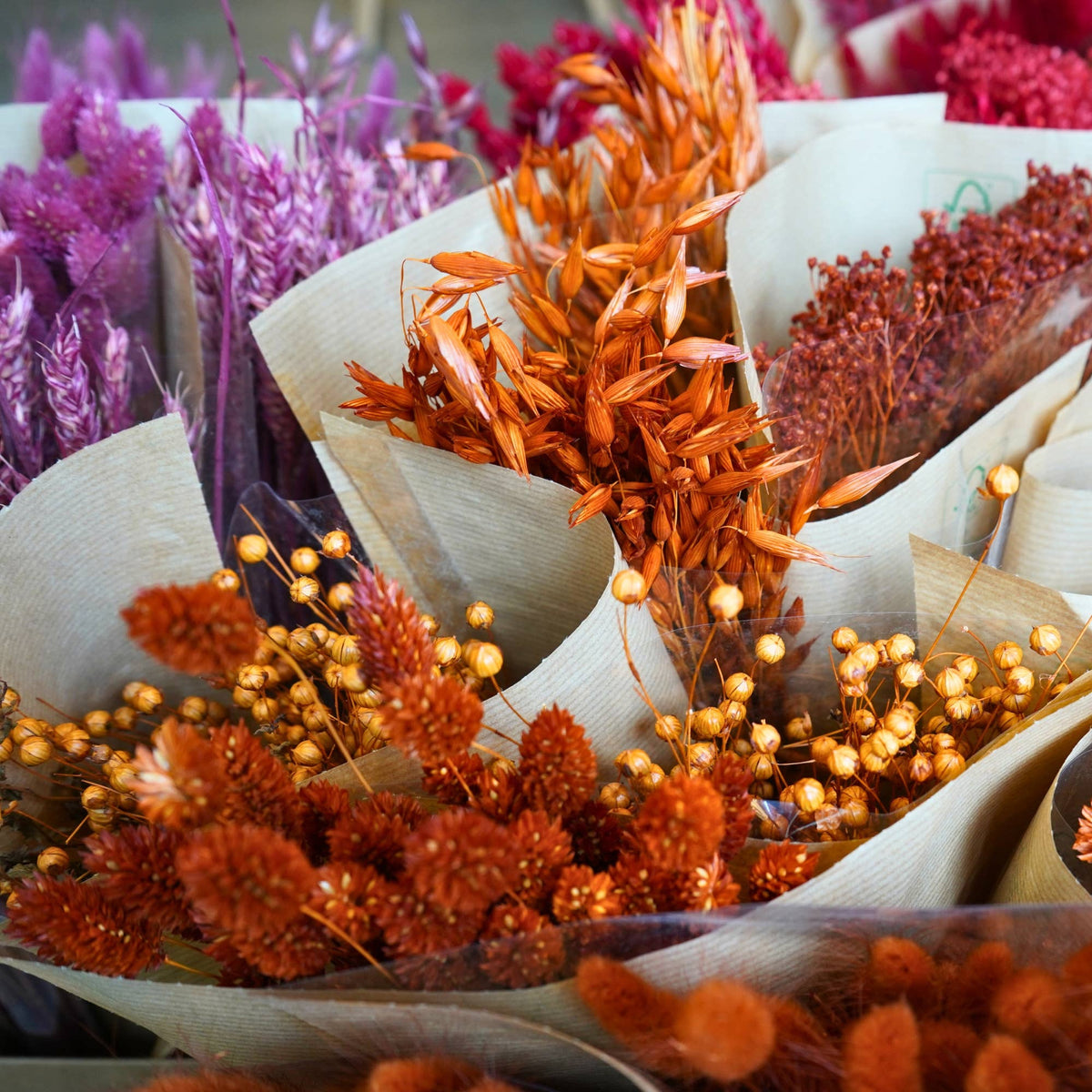 Autumn Collection - All Good Things
