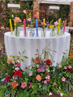 Mango 8 inch Dinner Candles x 20