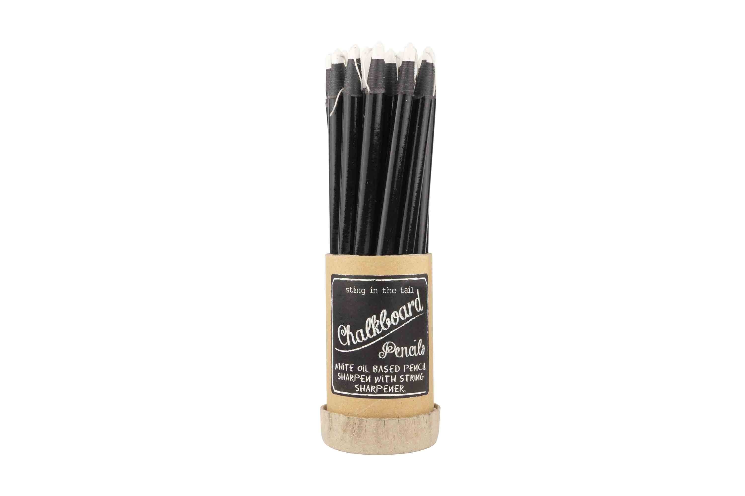 Set of chalkboard pencils with a cylindrical holder on a white background