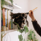 Large Natural Ostrich Feather Duster