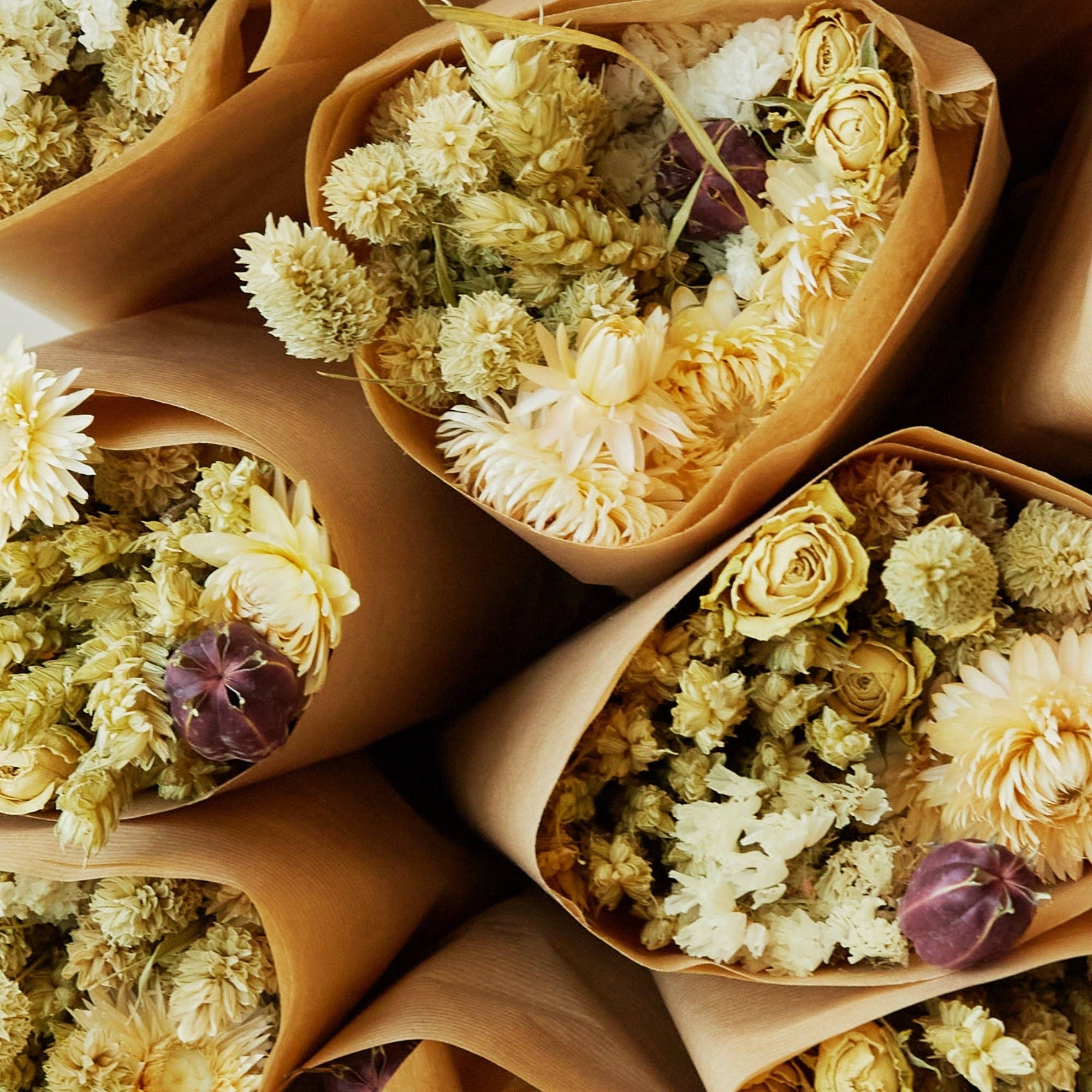 Dried Flowers - Market More - Natural
