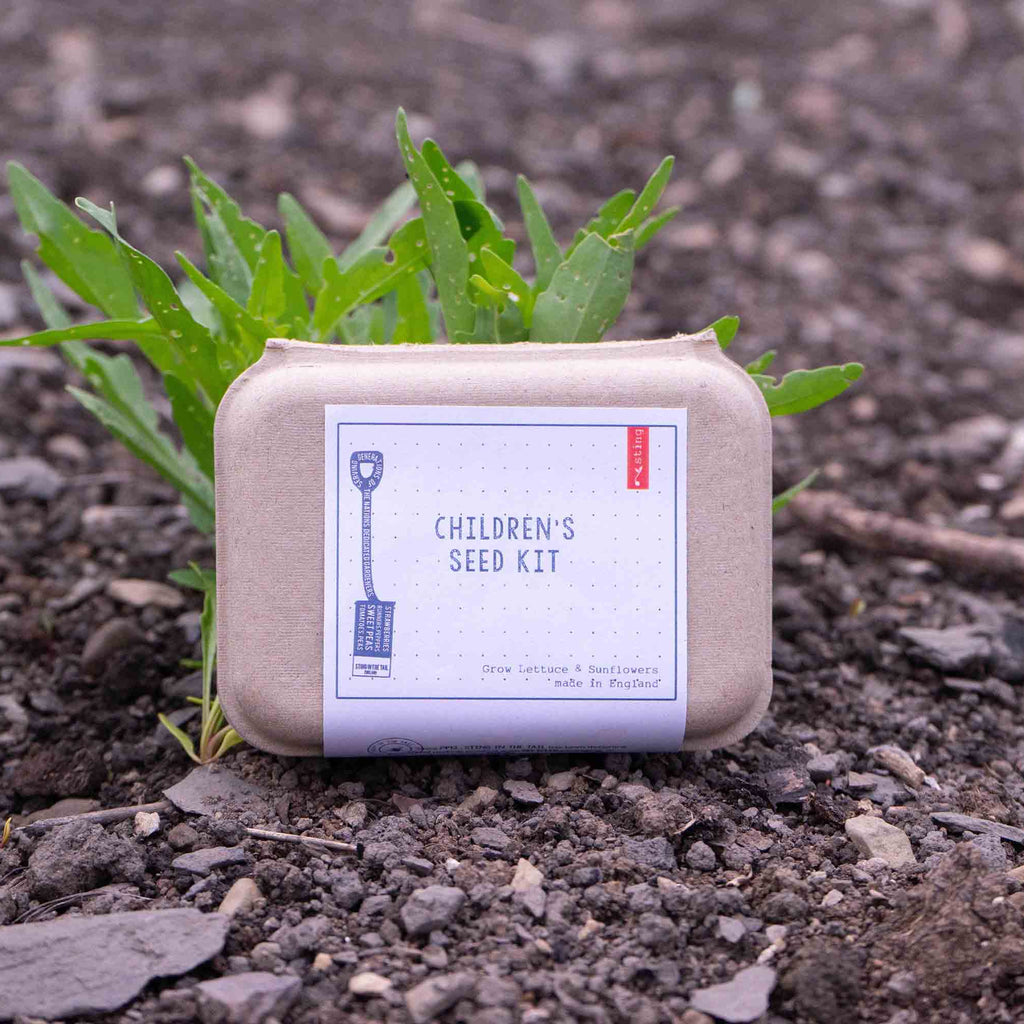 Children's seed kit on soil with green plants growing around it