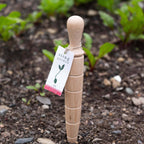 Wooden dibber with a tag, standing in soil, surrounded by green plants
