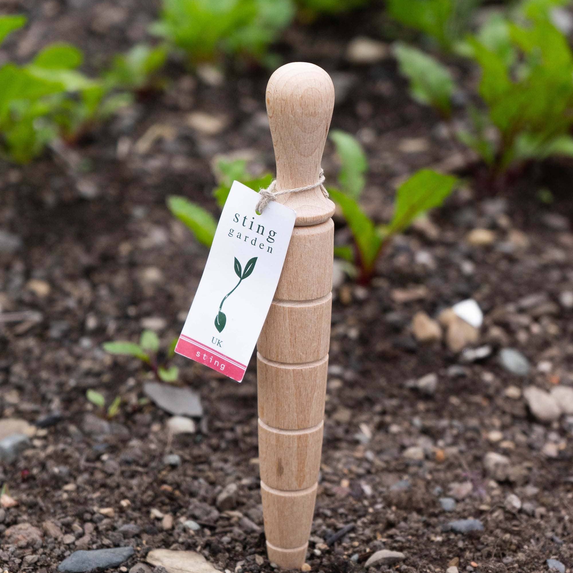 Wooden dibber with a tag, standing in soil, surrounded by green plants