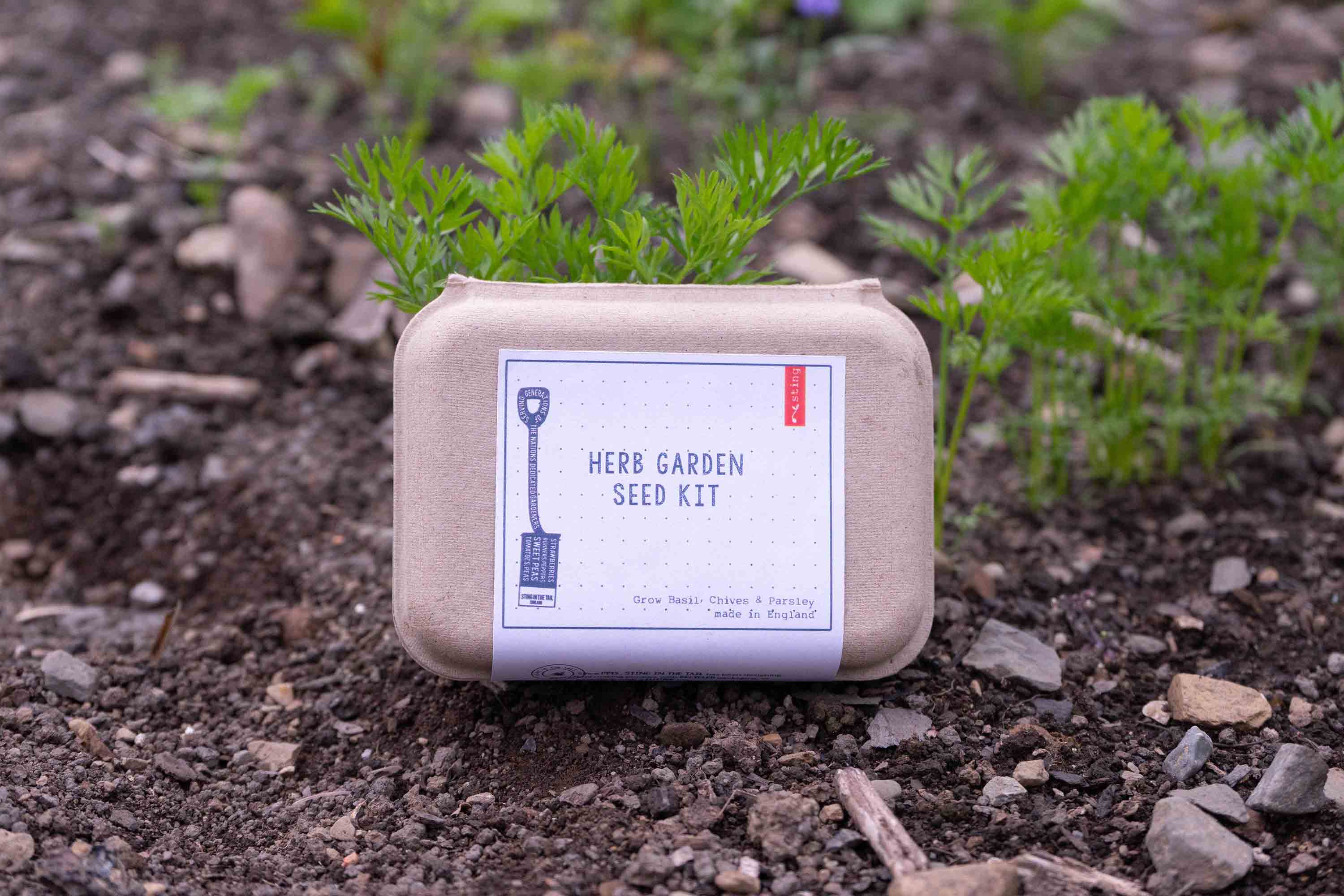 Herb garden seed kit on soil with plants growing around