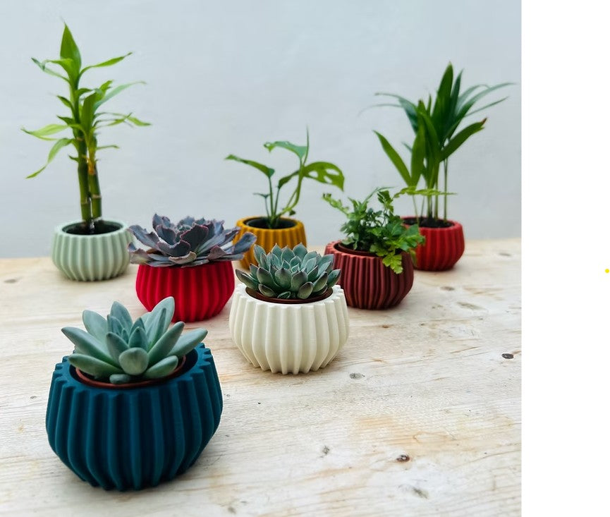bulb shaped ribbed sustainable min plant pots in different colours