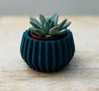 Mini Bulb Sustainable Plant Pot