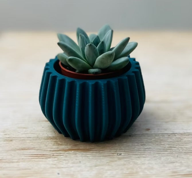 Mini Bulb Sustainable Plant Pot