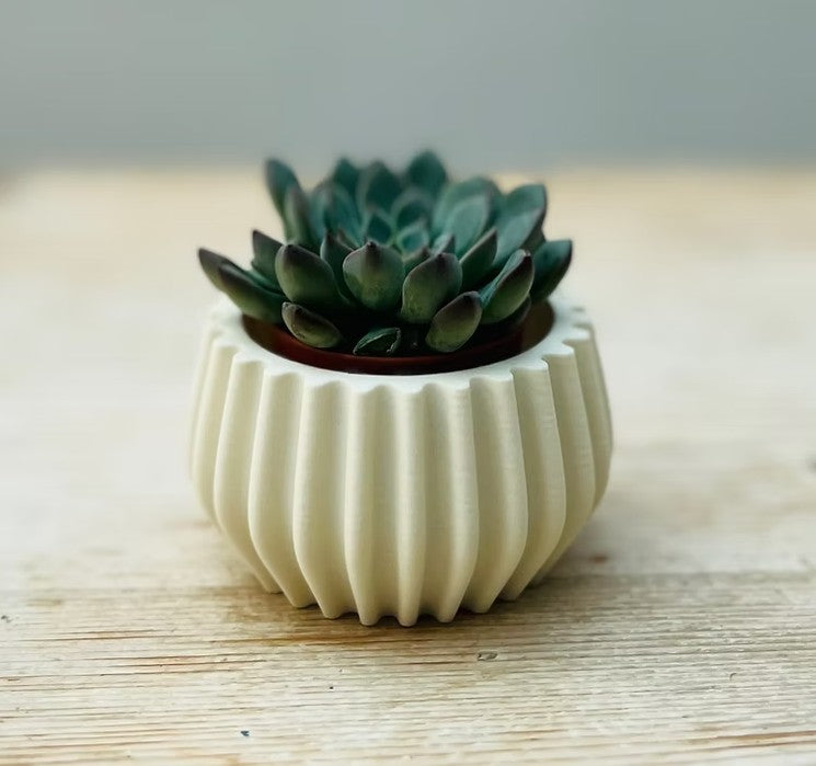 Mini Bulb Sustainable Plant Pot