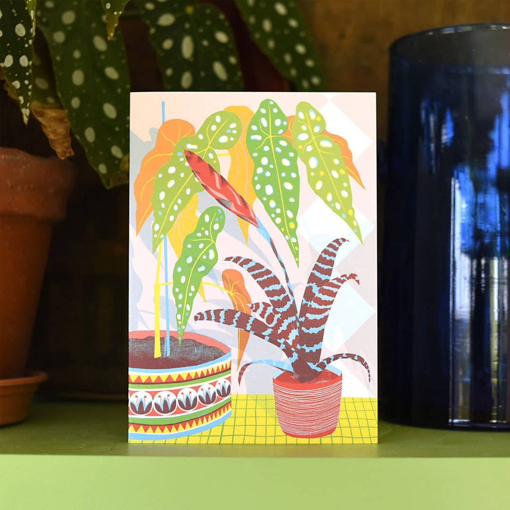 Bromeliad | Everyday greetings card | Plants, gardener - All Good Things