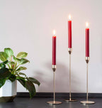 Burgundy 8 inch Dinner Candles x 20 - All Good Things