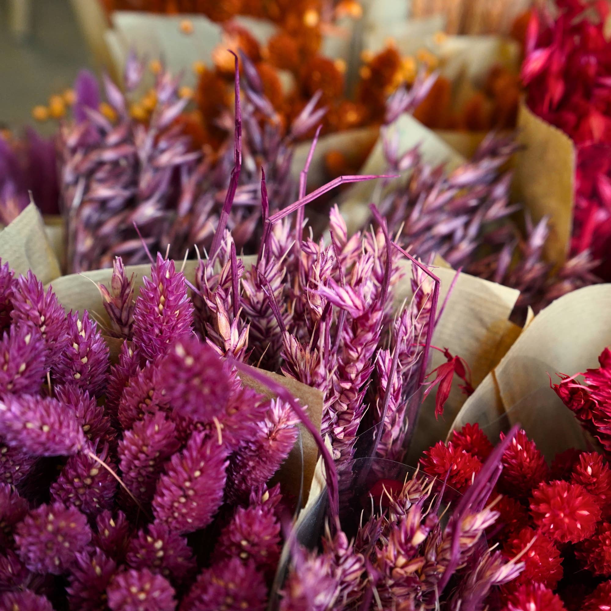 Bunches of Burgundy Dried Flowers Wrapped in Brown Paper - All Good Things