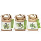 Cultivate & Eat Japanese Flavours Grow Kit - All Good Things