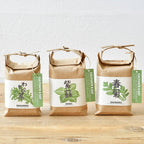Cultivate & Eat Japanese Flavours Grow Kit - All Good Things