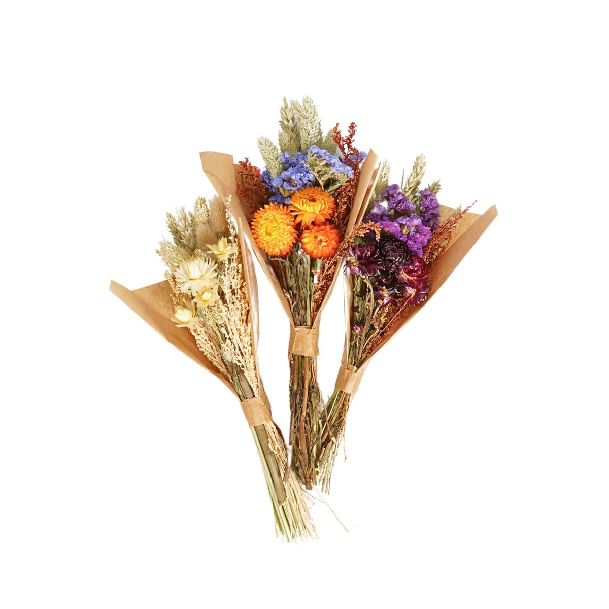 Dried Flowers - Field Bouquet Mini Mix: Mini - All Good Things