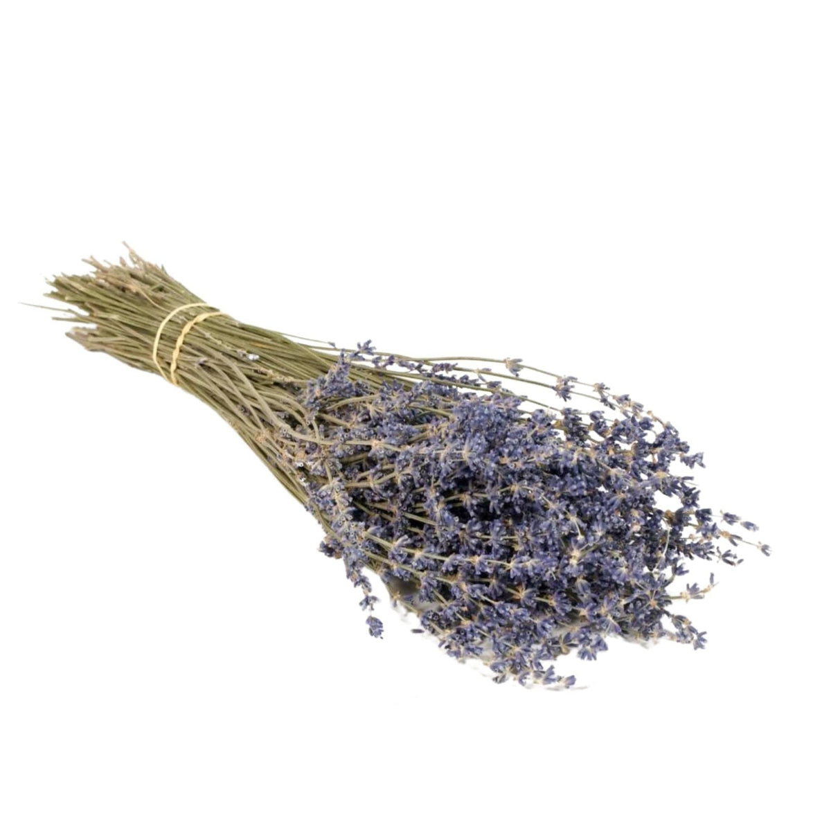 Dried Flowers - Lavender Natural Blue - All Good Things