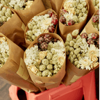 Dried Flowers - Market More - Natural - All Good Things