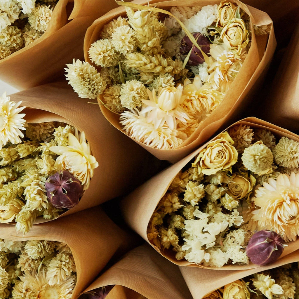 Dried Flowers - Market More - Natural - All Good Things