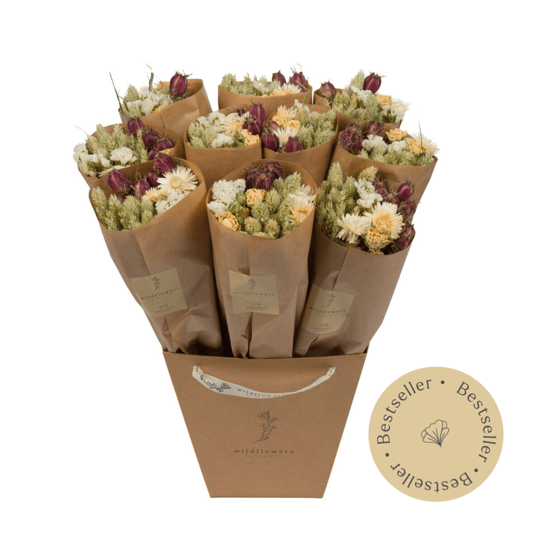 Dried Flowers - Market More - Natural - All Good Things