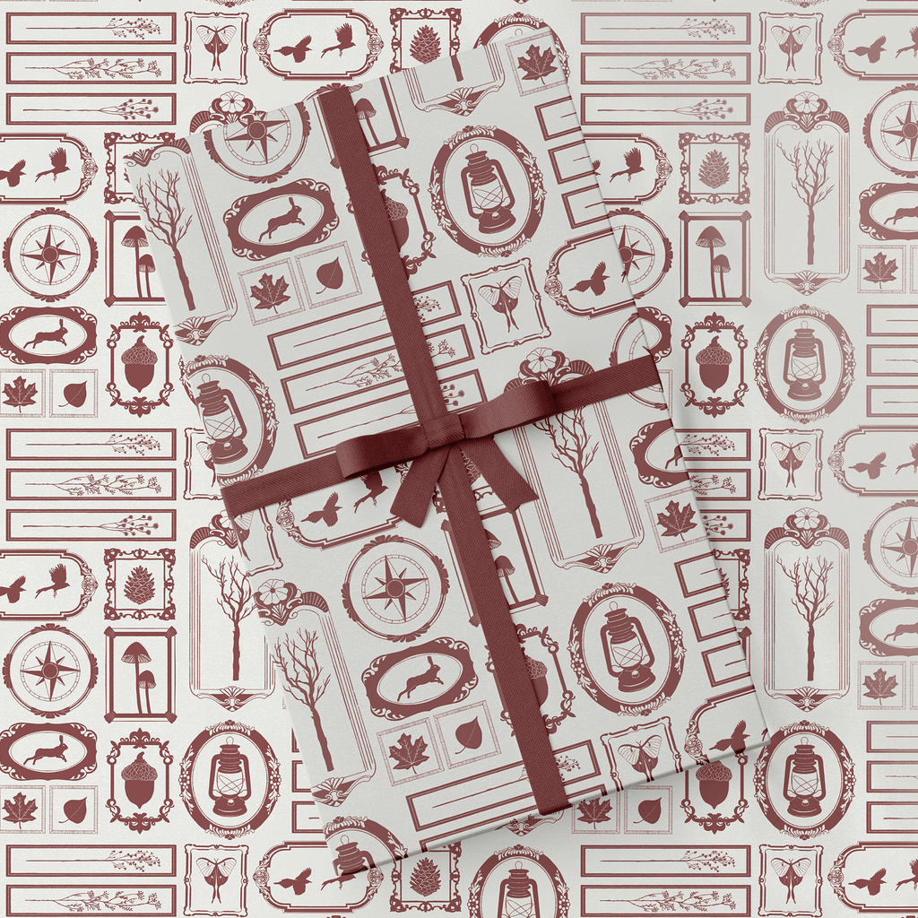 Exploration Frames - Illustrated Gift Wrap - All Good Things