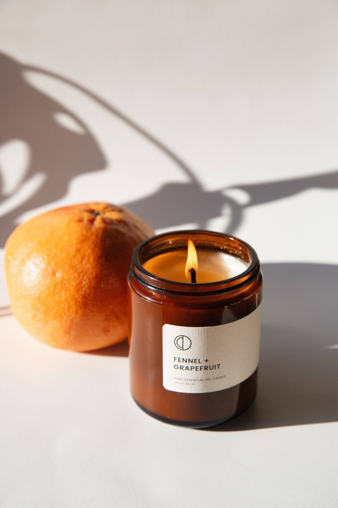 Fennel + Grapefruit candle: 120ml (small) - All Good Things