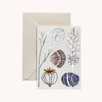 Neutral card shopping Beach Finds - All Good Things