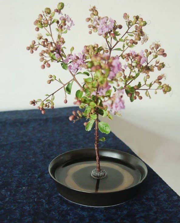 Gohobi Ikebana Kenzan Stainless Steel Flower Stand Flower Holder: 5 cm - All Good Things