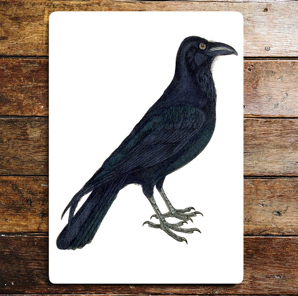 A striking raven in profile on a rectangular metal sign with a white background - All Good Things