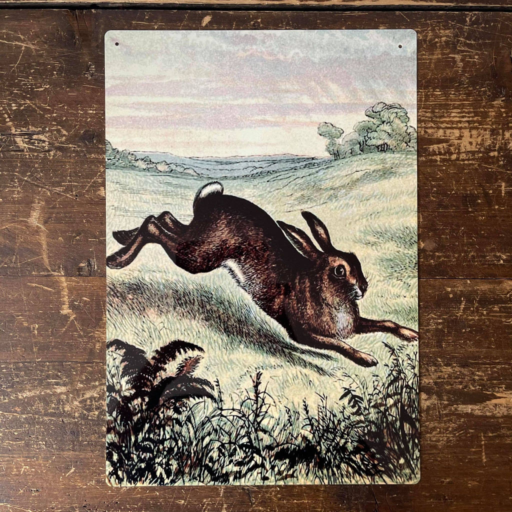 Hare Illustration Field - Metal Botanical Wall Sign: 8x10inch - All Good Things