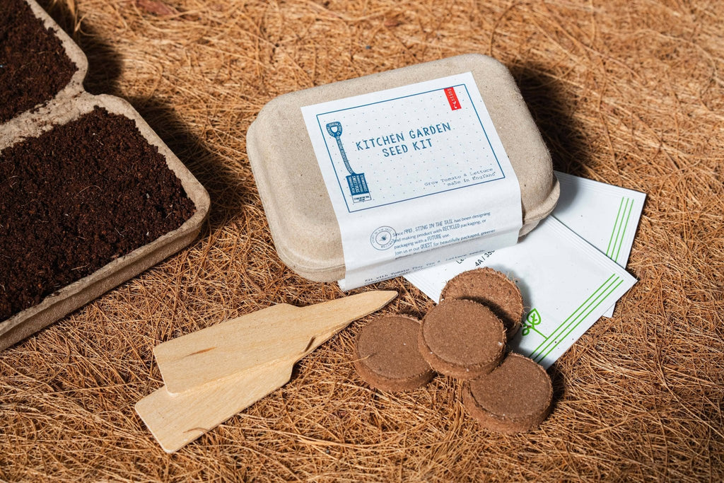 Herb Garden Seed Kit - All Good Things