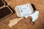 Herb Garden Seed Kit - All Good Things