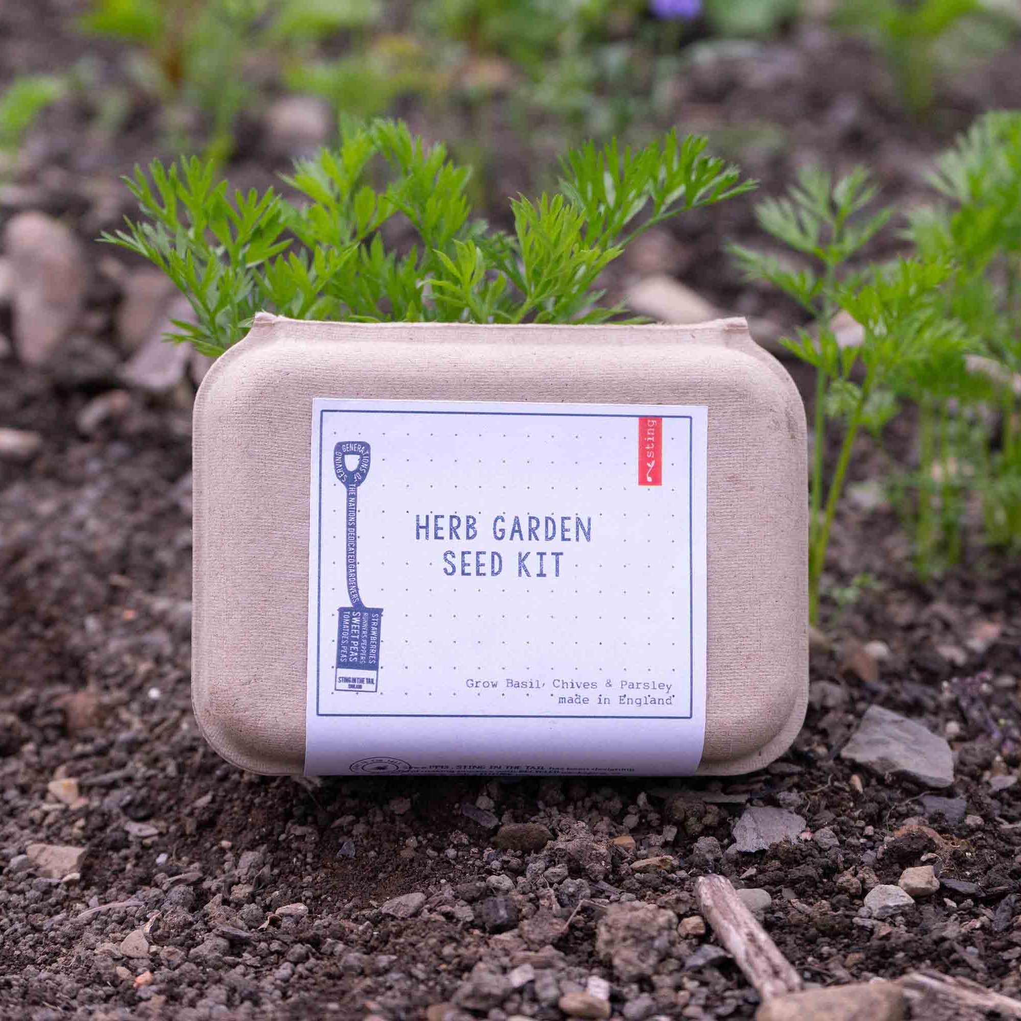 Herb Garden Seed Kit - All Good Things