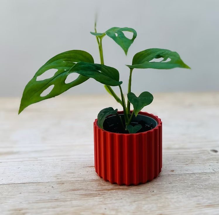 Mini Ribbed Sustainable Plant Pot - All Good Things