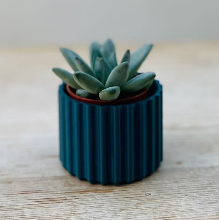 Mini Ribbed Sustainable Plant Pot - All Good Things