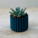 Mini Ribbed Sustainable Plant Pot - All Good Things
