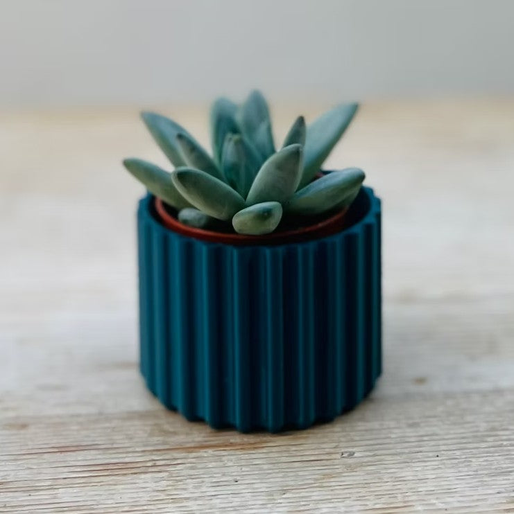Mini Ribbed Sustainable Plant Pot