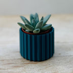 Mini Ribbed Sustainable Plant Pot
