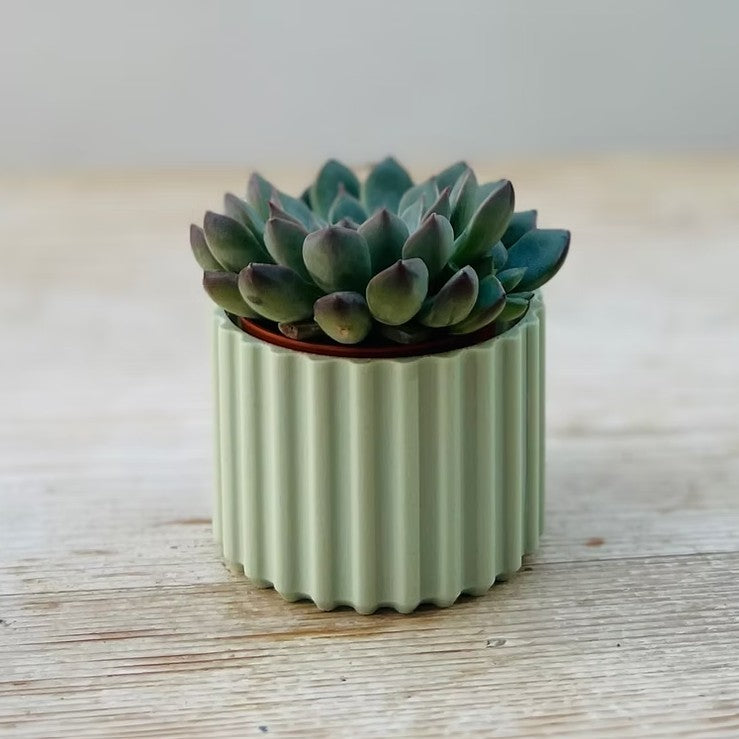 Mini Ribbed Sustainable Plant Pot