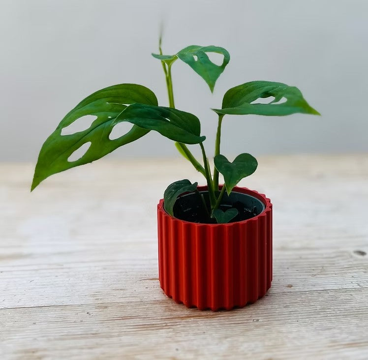 Mini Ribbed Sustainable Plant Pot