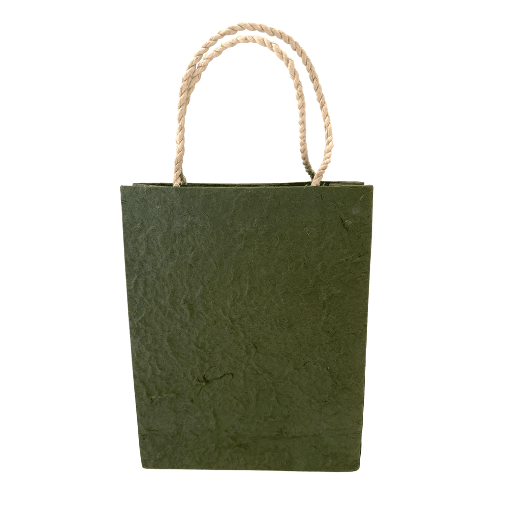 Mulberry Paper Gift Bag, 15x19x5.5cm, Single: Assorted Luxe Pattern - All Good Things