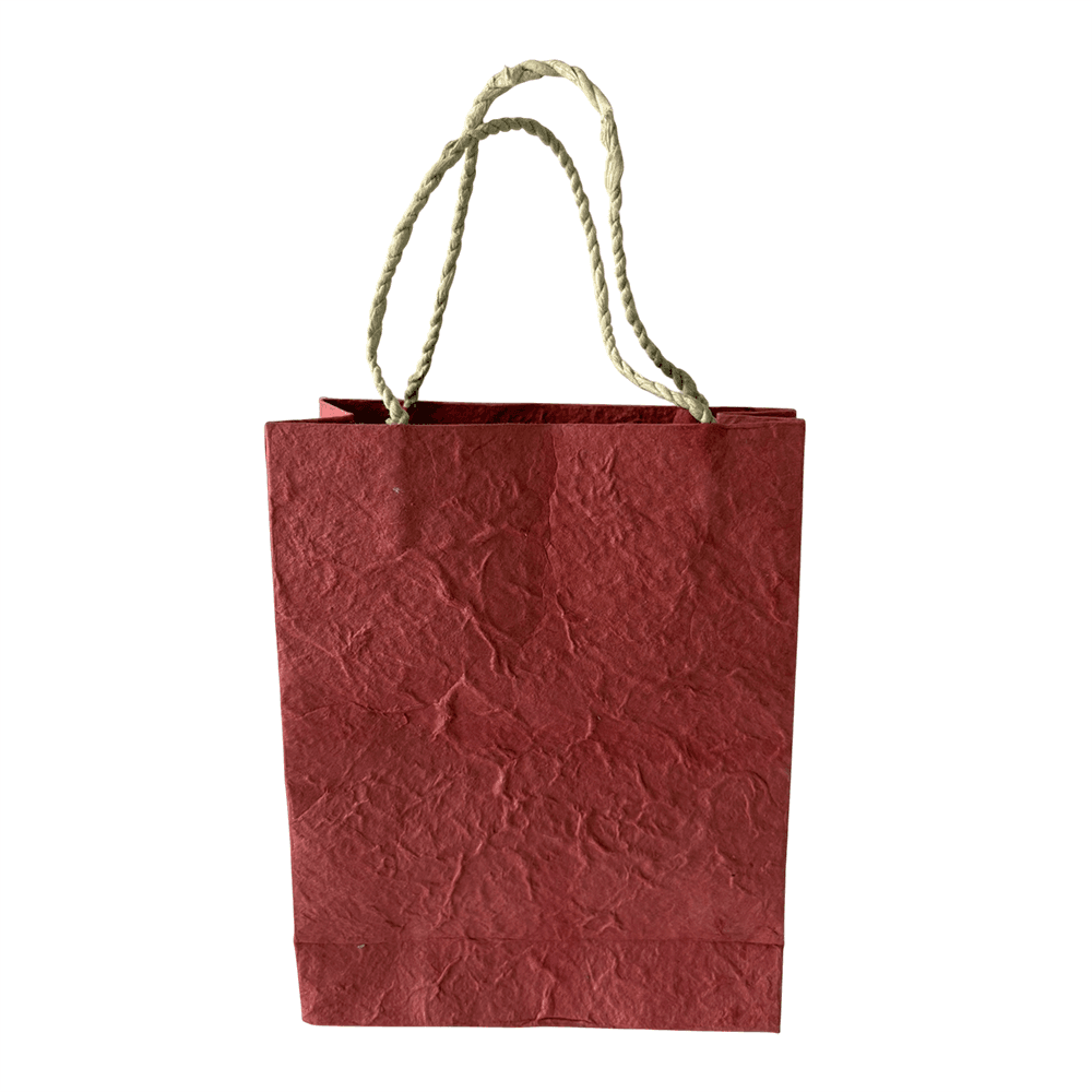 Mulberry Paper Gift Bag, 15x19x5.5cm, Single: Assorted Luxe Pattern - All Good Things