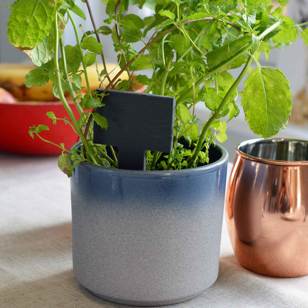 Nicola Spring Square Head Slate Plant and Herb Tag - All Good Things
