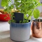 Nicola Spring Square Head Slate Plant and Herb Tag - All Good Things