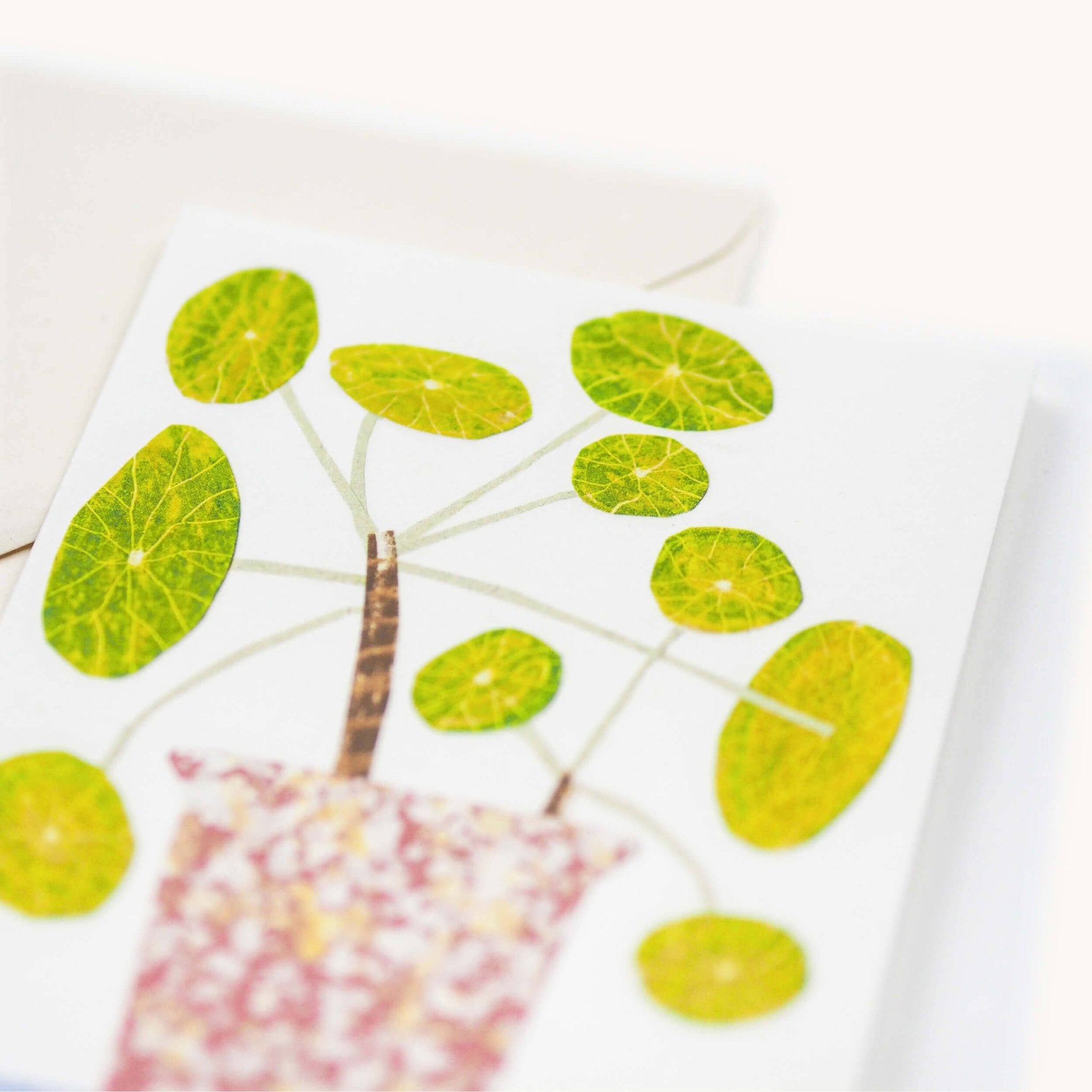 Pilea Pepermioides - Bobble Plant Card - All Good Things