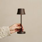 Hand holding an elegant, lightweight dark brown table lamp against a beige background - All Good Things