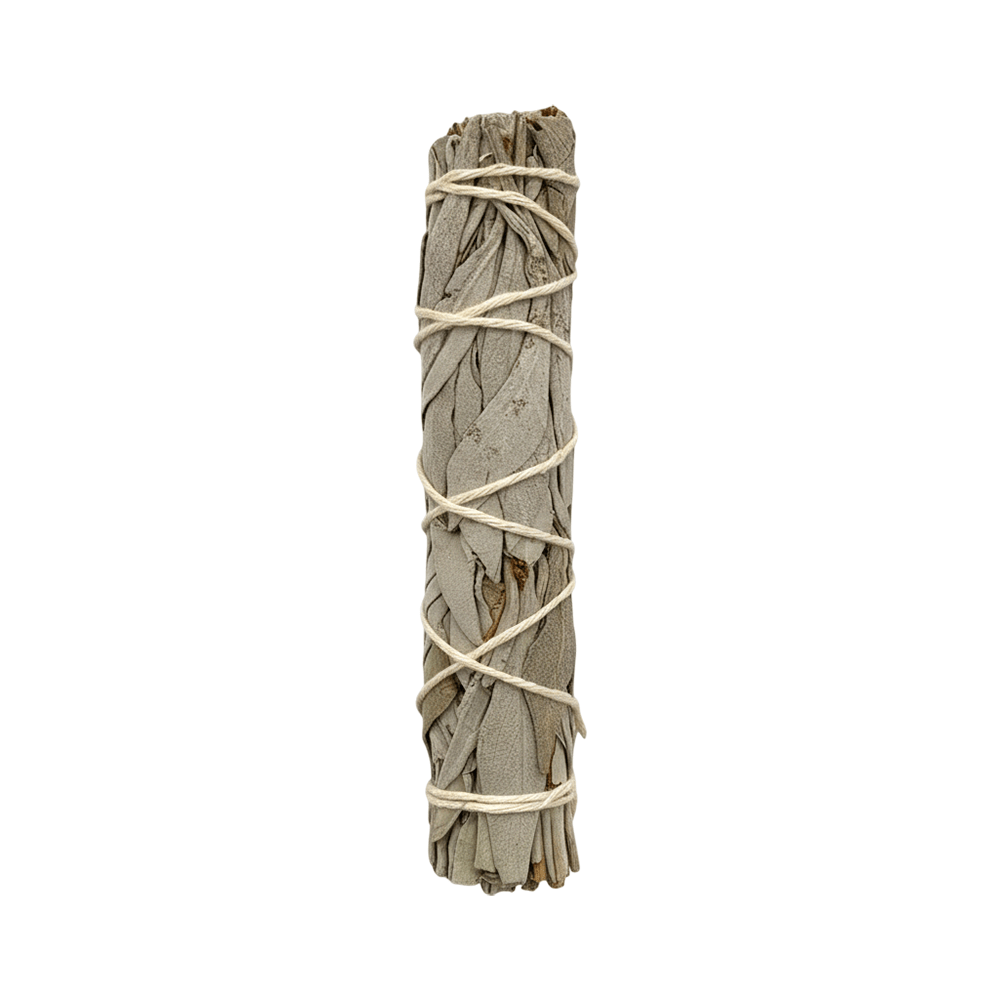 Slimline Sage Smudge Stick, White Sage 4" - All Good Things